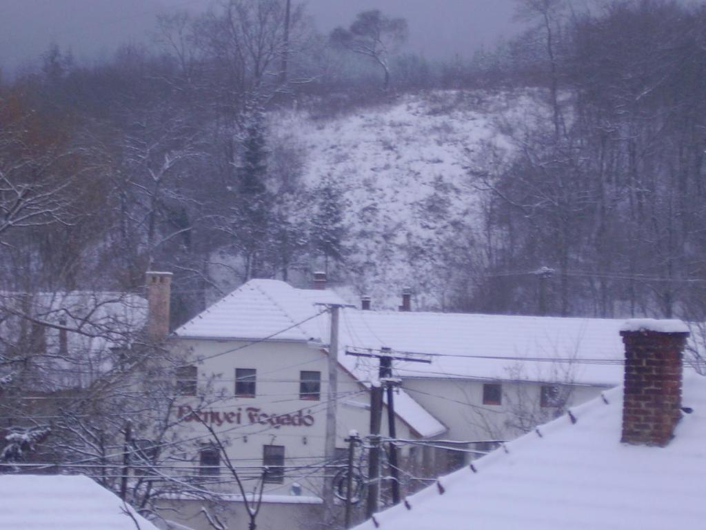 Erdőbénye Benyei Fogado Panzio Es Etterem Bed & Breakfast エクステリア 写真