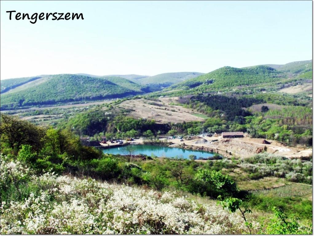 Erdőbénye Benyei Fogado Panzio Es Etterem Bed & Breakfast エクステリア 写真